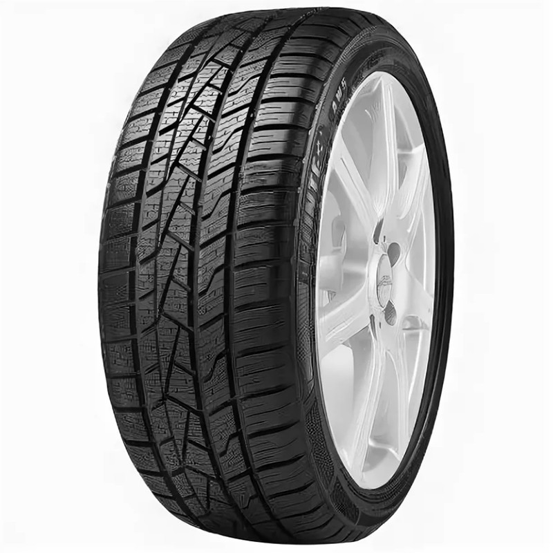 205/60 R16 Delinte AW5 96H XL