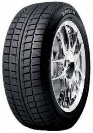 205/60 R16 Goodride SW618 92T