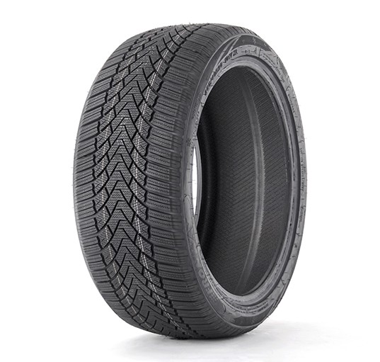 205/60 R16 Fronway Icemaster I 92H