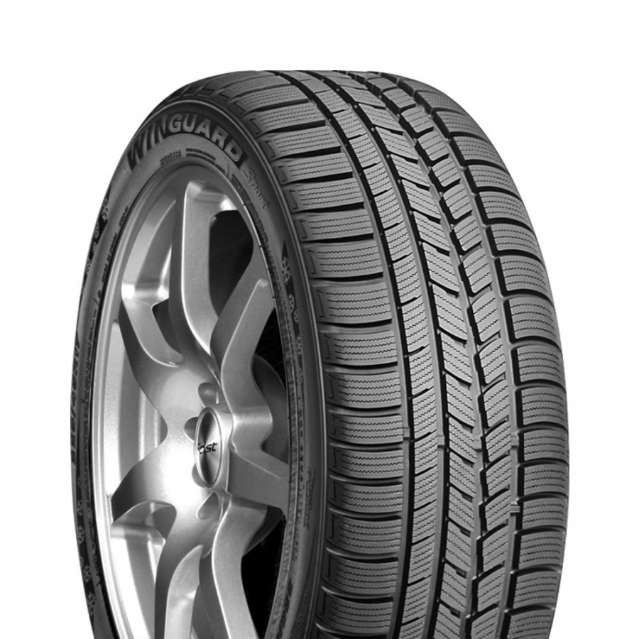 205/50 R17 Roadstone Winguard Sport 93V
