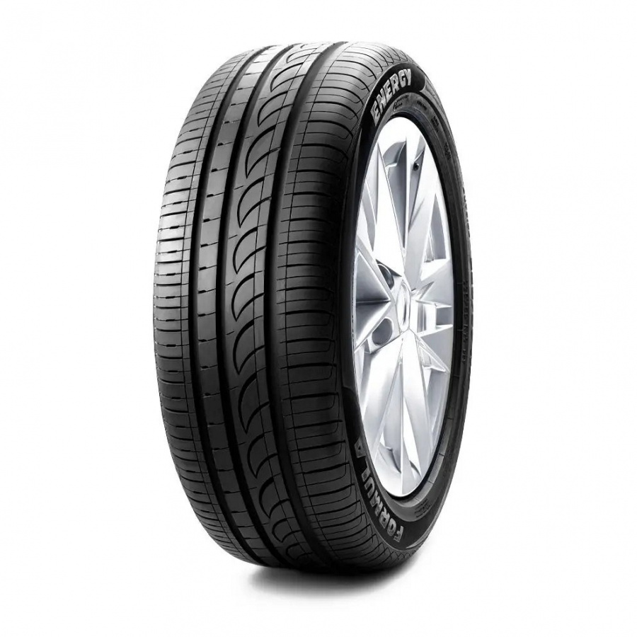 205/55 R16 Formula Energy 91V