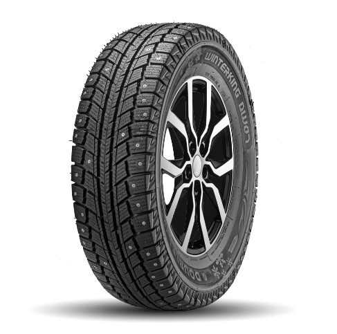 205/55 R16 Doublestar DW07 91T ш