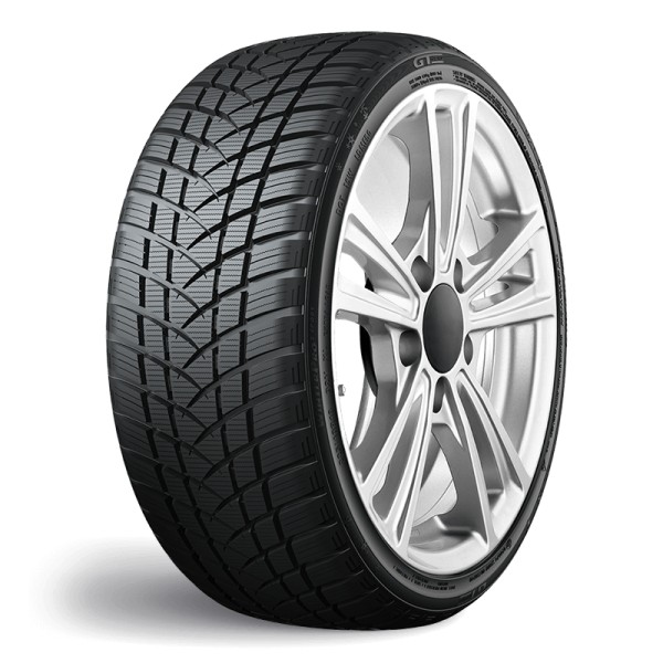205/55 R17 GT Radial Winterpro 2 95H